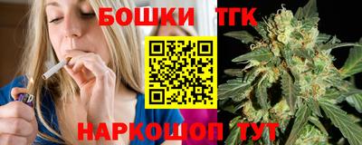 МДПВ Бердск