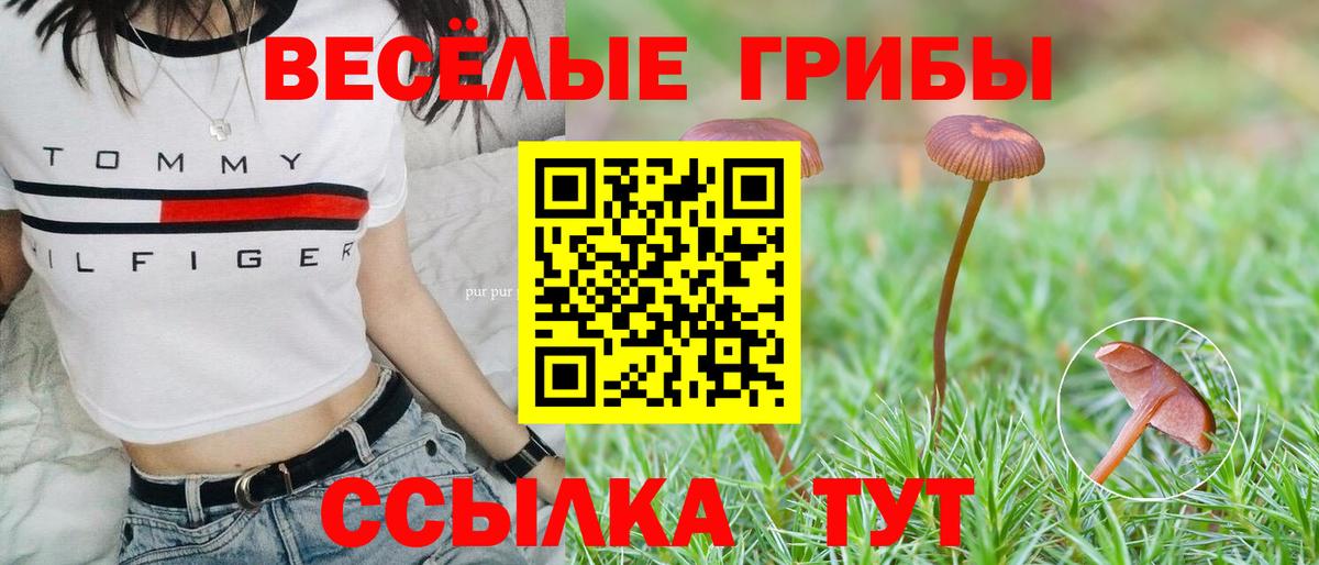 Саянск  Галлюциногенные грибы прущие грибы  Вход с VPN  где купить наркоту  Галлюциногенные грибы Magic Shrooms 