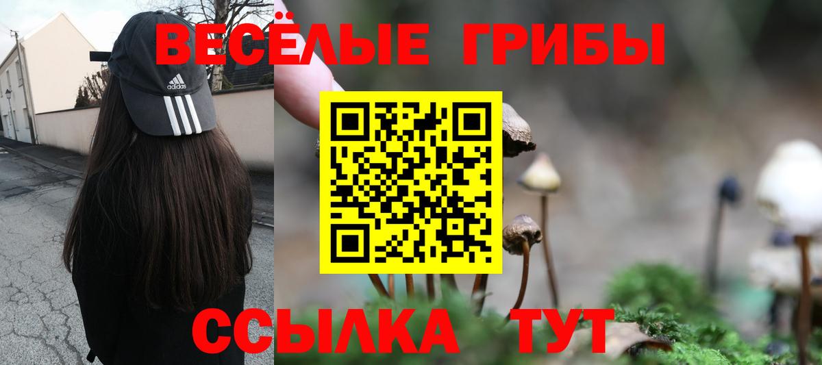 Галлюциногенные грибы Psilocybine cubensis Саянск