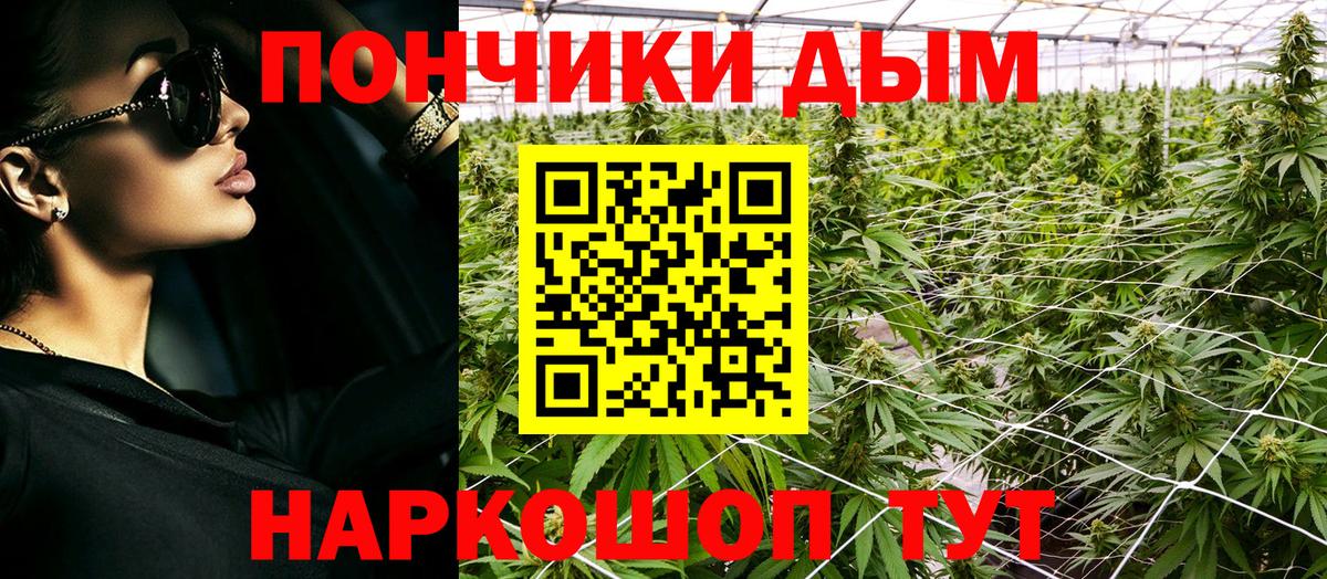 Бошки Шишки THC 21% Саянск